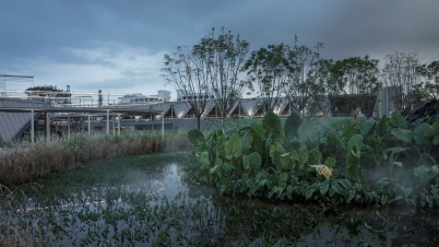 Wetland Scenery in Science and Technology Park