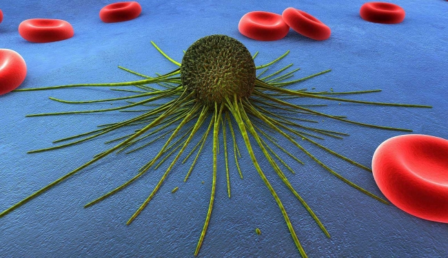 转化医学1_副本