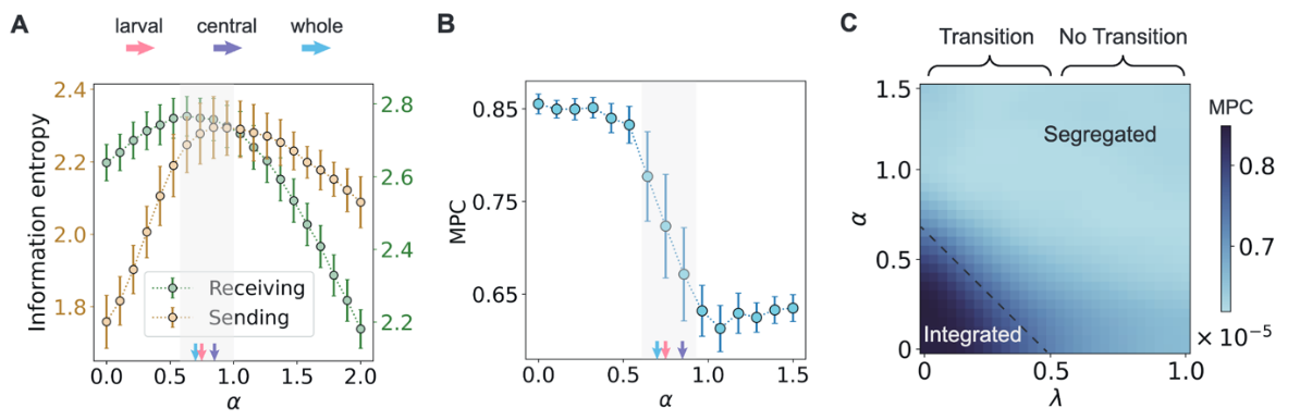 A graph of a person and personDescription automatically generated