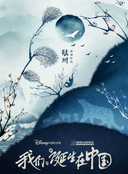 我们诞生在中国