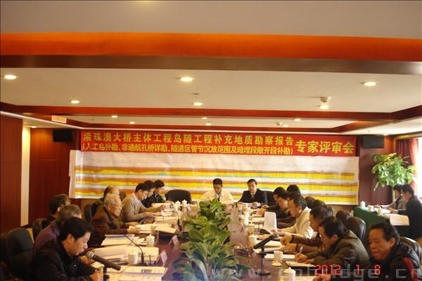 孙钧院士参加咨询会 孙钧院士参加咨询会